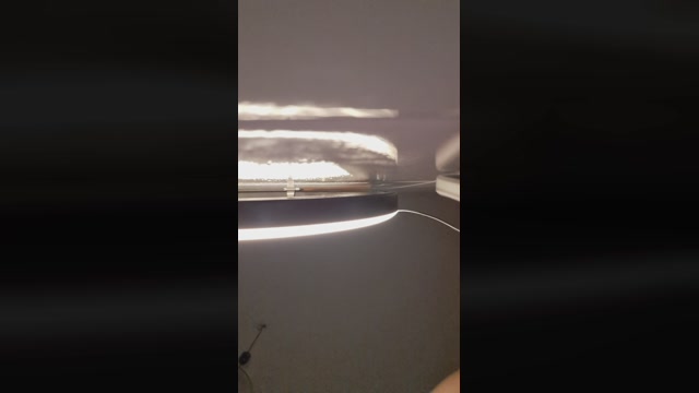 Kittenpurrr  27-01-2023